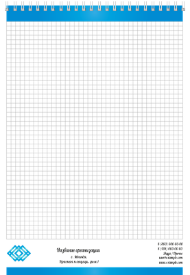 Вертикальные блокноты A4 - Голубые полосы Внутренний лист
